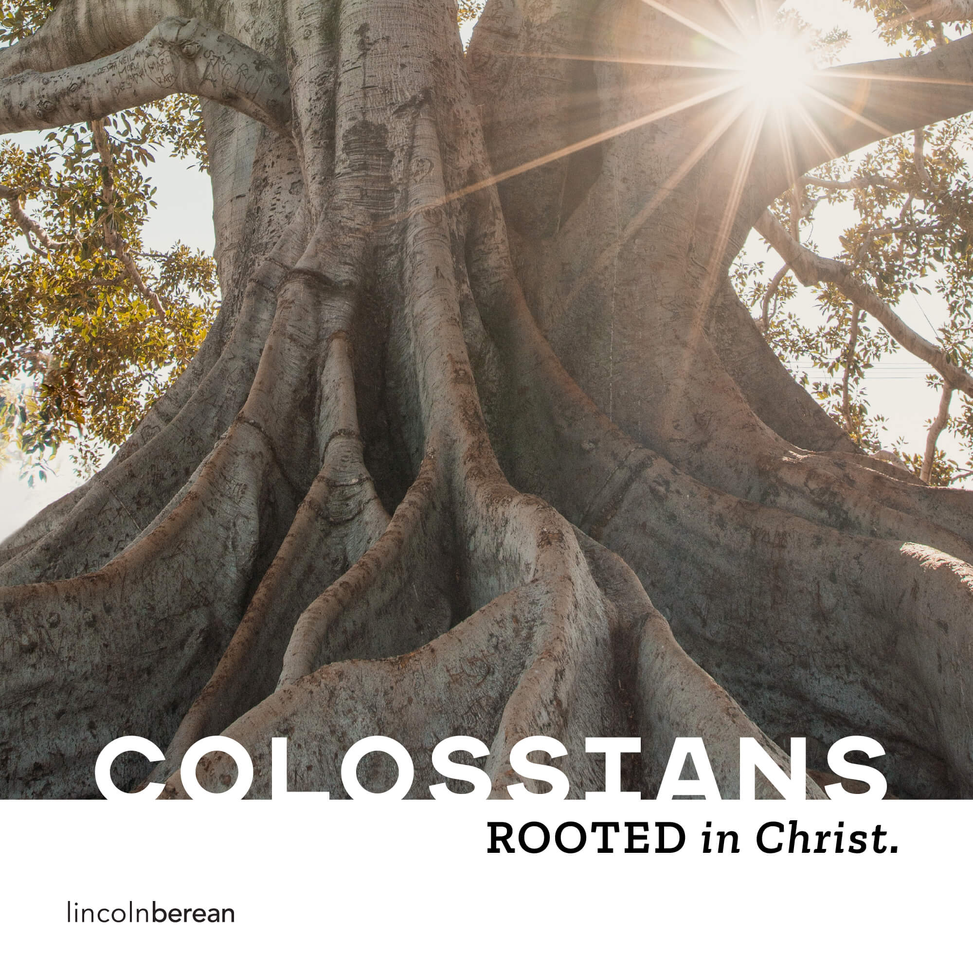 Lincoln Berean Church
