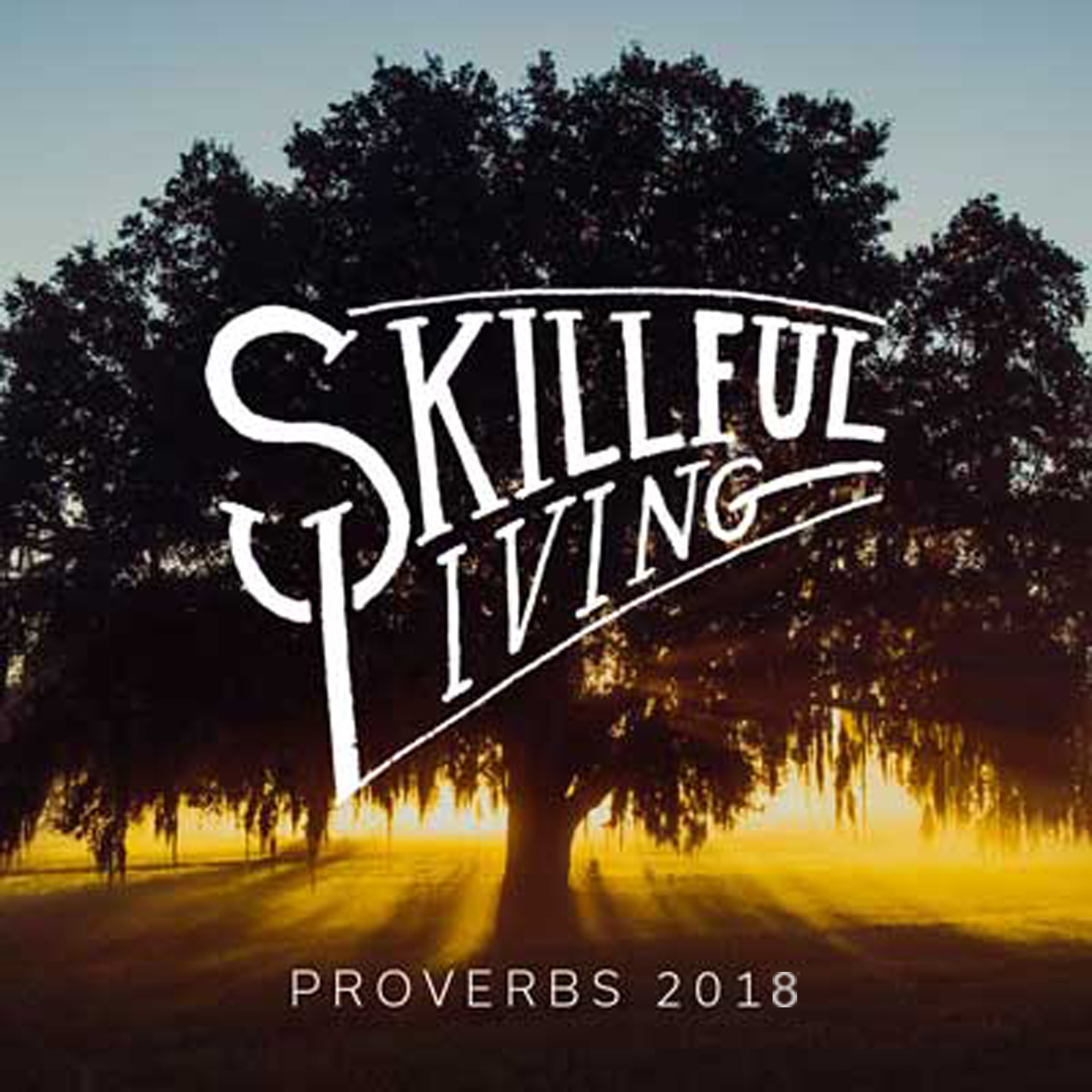 Skillful Living – Proverbs 2019 // Be Quiet And Listen episode artwork